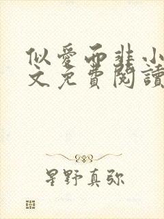 似爱而非小说全文免费阅读