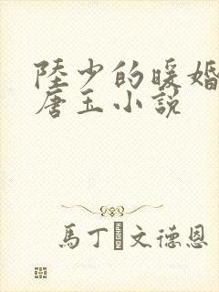 陆少的暖婚新妻唐玉小说