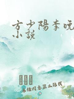 方少阳李晚晴的小说