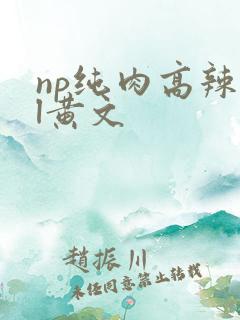 np纯肉高辣bl黄文