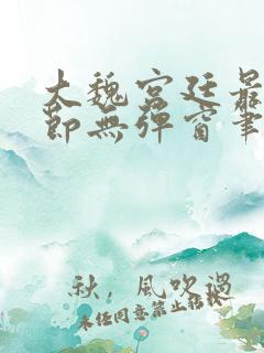 大魏宫廷最新章节无弹窗笔趣阁