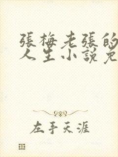 张梅老张的风流人生小说免费阅读
