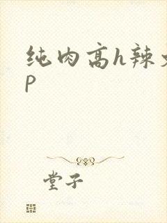 纯肉高h辣文np