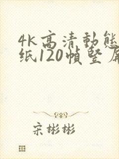 4k高清动态壁纸120帧竖屏
