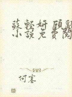 苏轻妍 顾辞笙小说免费阅读