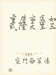 重庆市区如何去武隆天生三桥