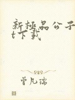 新极品公子txt下载