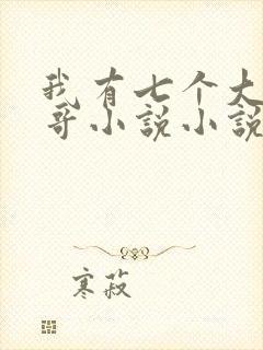 我有七个大佬哥哥小说小说