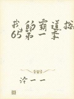 我的霸道总裁365第一季