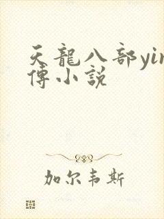 天龙八部yin传小说