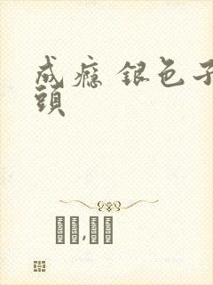 成瘾 银色子弹头