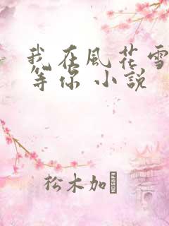 我在风花雪月里等你 小说