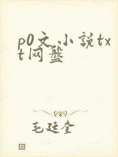 p0文小说txt网盘