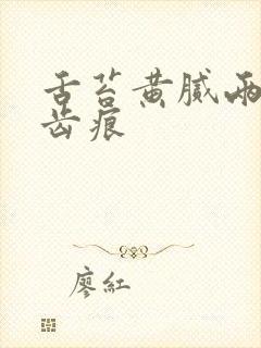 舌苔黄腻两侧有齿痕