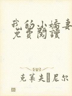 我的小娇妻全文免费阅读