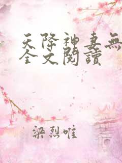 天降神妻无删减全文阅读