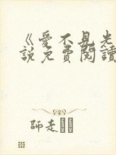 《爱不见光》小说免费阅读全文