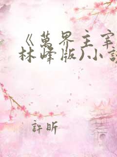 《万界主宰》(林峰版)小说