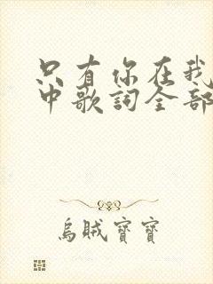 只有你在我生命中歌词全部