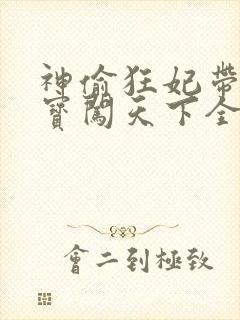 神偷狂妃带着宝宝闯天下全文免费阅读