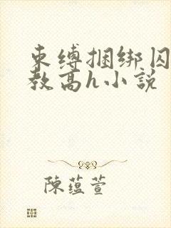 束缚捆绑囚禁调教高h小说