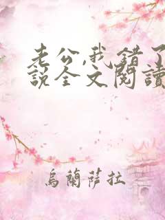 老公,我错了小说全文阅读