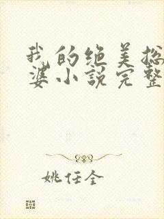 我的绝美总裁老婆小说完整版