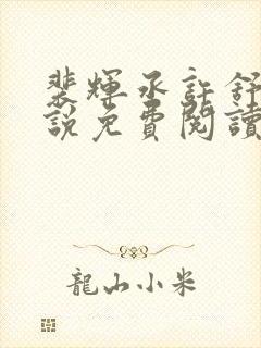 裴辉丞许舒意小说免费阅读最新章节