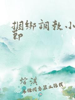 捆绑调教小说章节