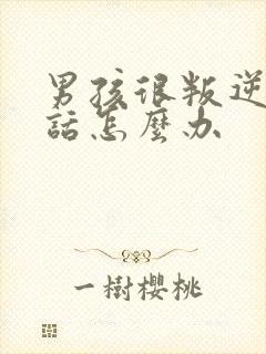 男孩很叛逆不听话怎么办