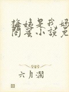 梅姨是我妈妈的闺蜜小说免费阅读