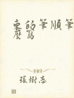 东的笔顺笔画怎么写