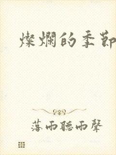 灿烂的季节完整