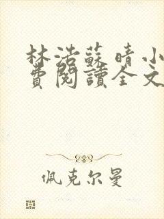 林浩苏晴小说免费阅读全文最新章节