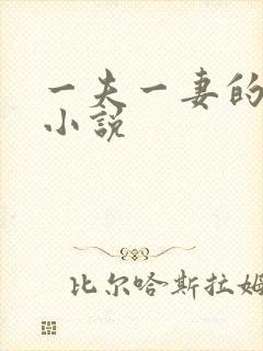 一夫一妻的玄幻小说