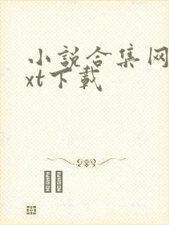 小说合集网盘txt下载