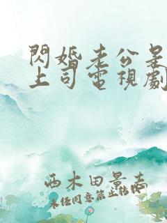 闪婚老公是顶头上司电视剧全集免费