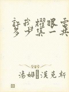 许我耀眼电视剧多少集一共几集