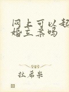 网上可以起诉离婚立案吗