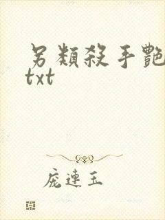 另类杀手艳福星txt