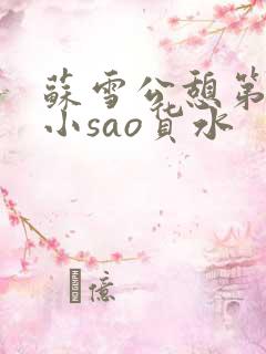 苏雪公憩第一章小sao货水