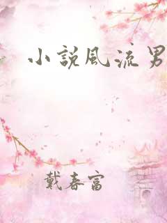 小说风流男护理