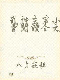武神主宰小说免费阅读全文无弹窗