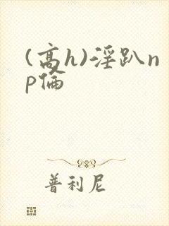 (高h)淫趴np伦