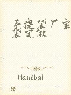 手提袋厂家购物袋定做