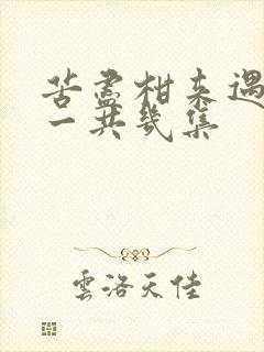 苦尽柑来遇见你一共几集