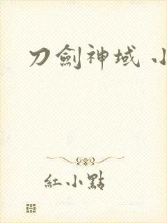刀剑神域 小说