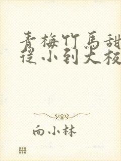 青梅竹马甜宠文从小到大校园