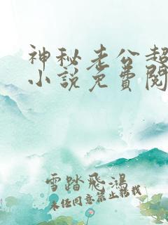 神秘老公超级甜小说免费阅读全文