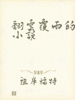 翻云覆雨的秘密小说